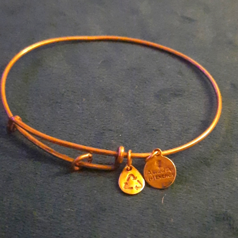 Alex and Ani Gold Charm Bracelet adjustable Bangle ready for your own charms